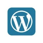 best digital marketer in kerala